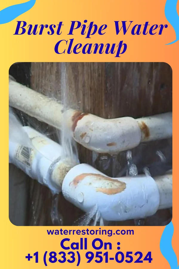 Burst Pipe Water Cleanup in Shelton, CT