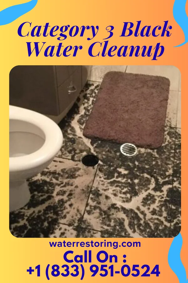 Category 3 Black Water Cleanup in Shelton, CT